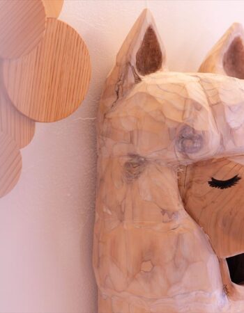 DSC00938-Enhanced-NR_R