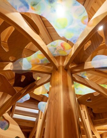 DSC00979-Enhanced-NR_R